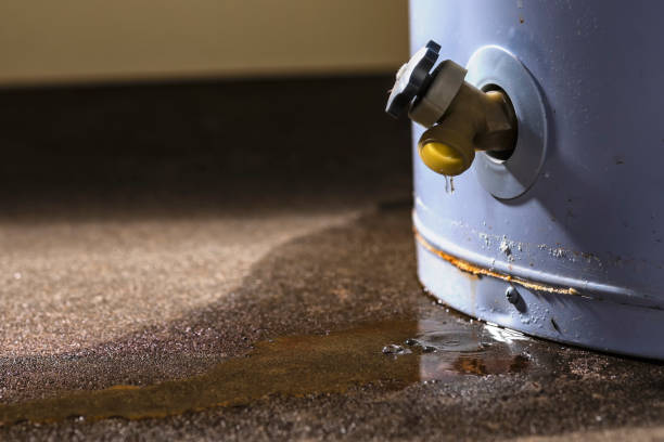 Best Water damage restoration near me  in Laguna Hills, CA