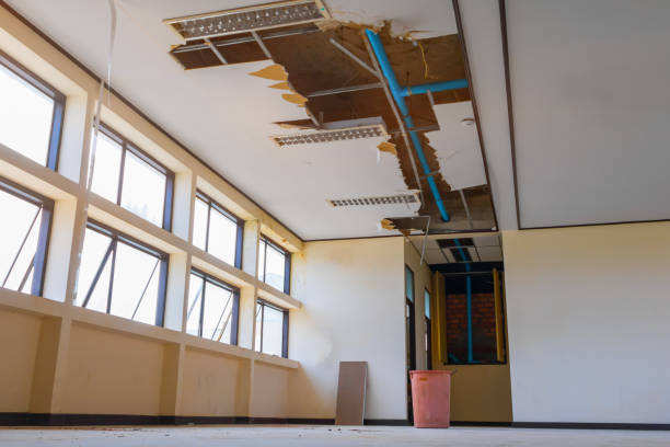 Best Flood damage cleanup  in Laguna Hills, CA