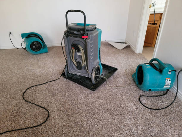 Best Local water damage restoration  in Laguna Hills, CA
