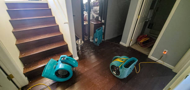  Laguna Hills, CA Water damage restoration Pros