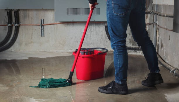 Best Ceiling water damage repair  in Laguna Hills, CA