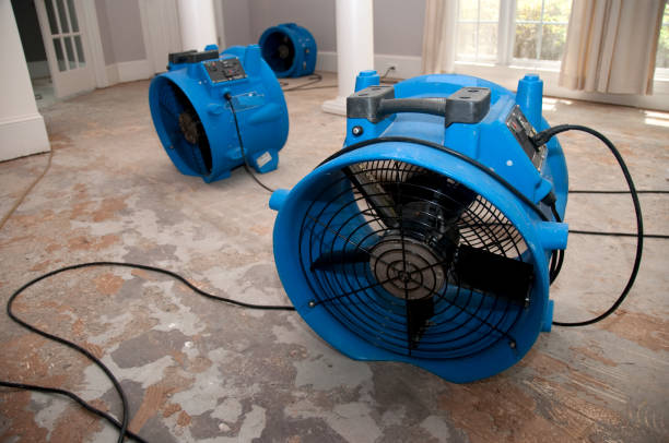 Best Basement water damage restoration  in Laguna Hills, CA